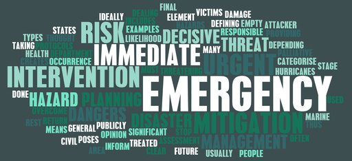 master-emergencias
