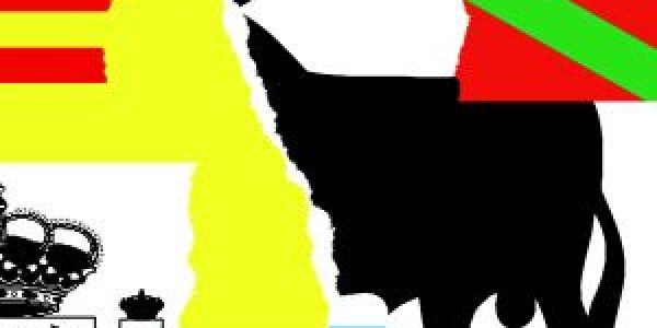 EL NACIONALISMO Y EL CIUDADANO
